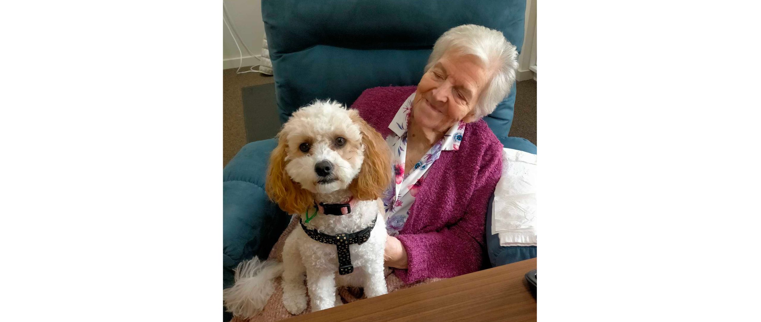 Pet Companionship 1