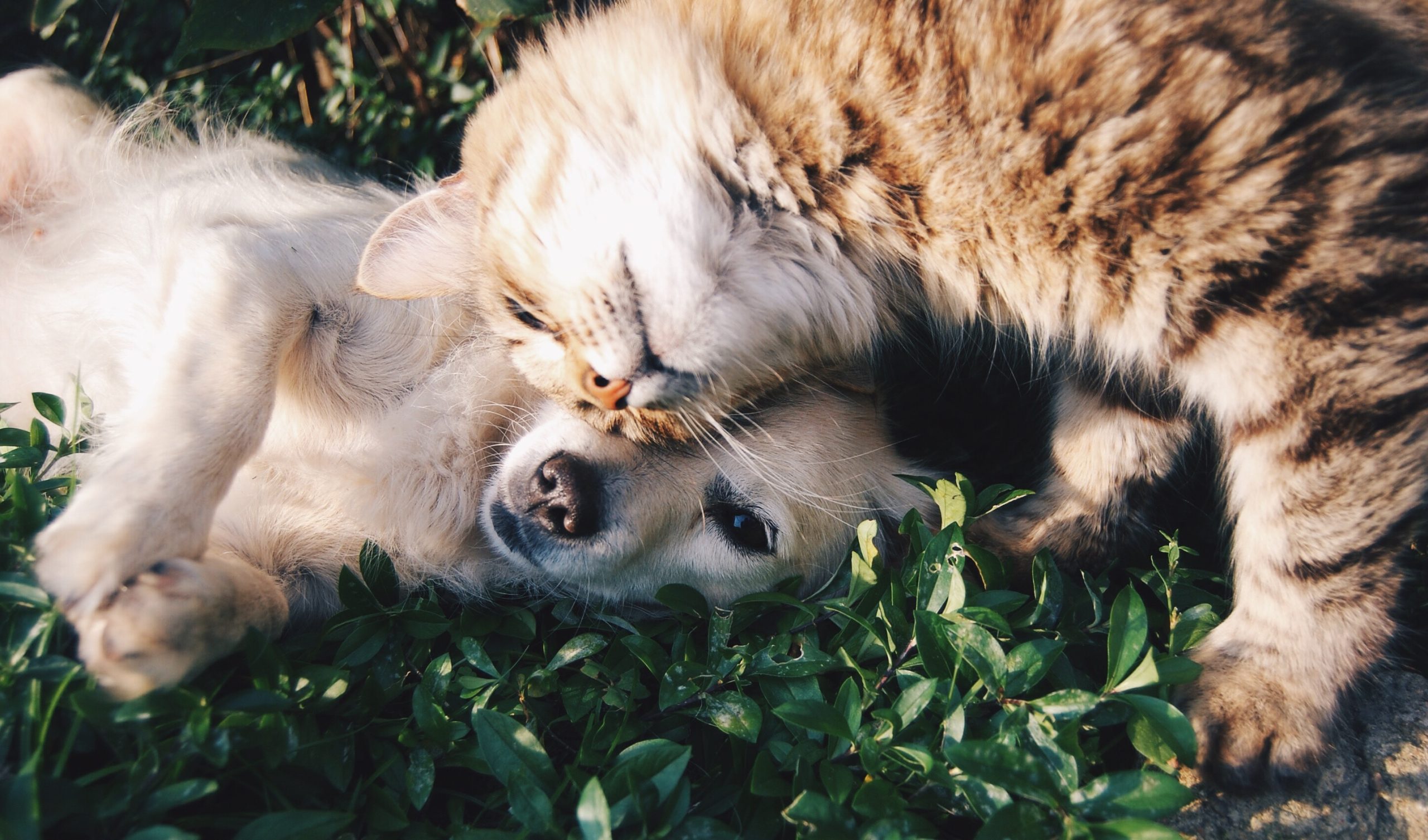 Krista Mangulsone 9gz3wfhr65u Unsplash
